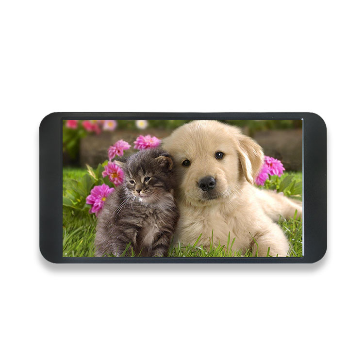 7 inch 1080P monitor 1920*1080 - Gaming Console And recensie en prijs
